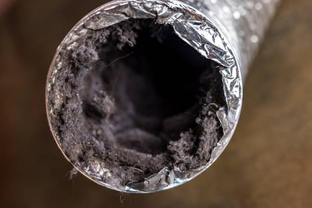 Best Air Duct Cleaning Near Me  in Goose Creek Village, VA